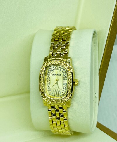 Empower Stainless Steel Luxury Ladies Watch (P02041)