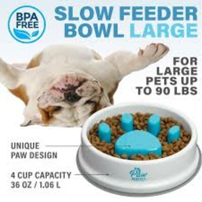 Slow Feeder Bowl (P02263)