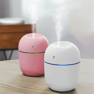 Mini Portable Humidifier #