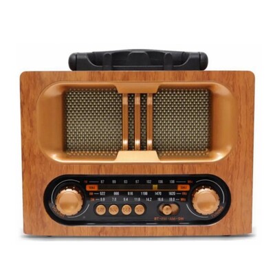 NS-6638BT Fm Radio & Bluetooth Speaker #